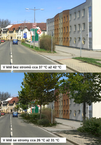 Doplnění až 15 stromů podél silnice v ulici 3. května