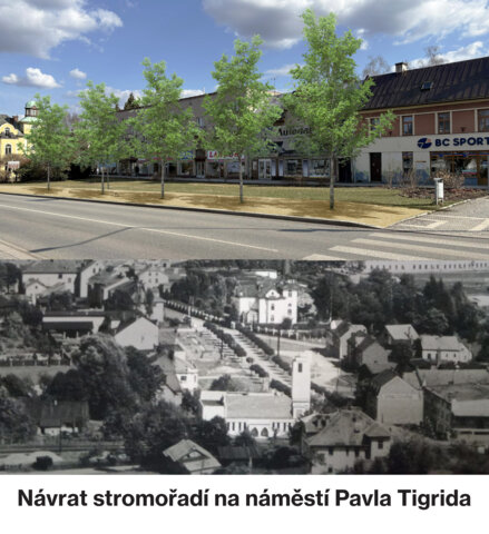Doplnění historické aleje na náměstí Pavla Tigrida